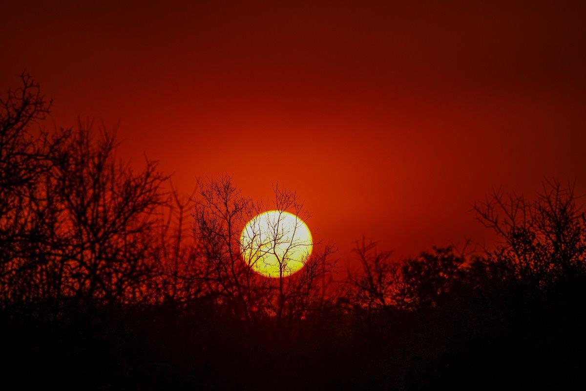Another unbelievable sunset from Sabi Sabi. Another unbelievable sunset from Sabi Sabi.