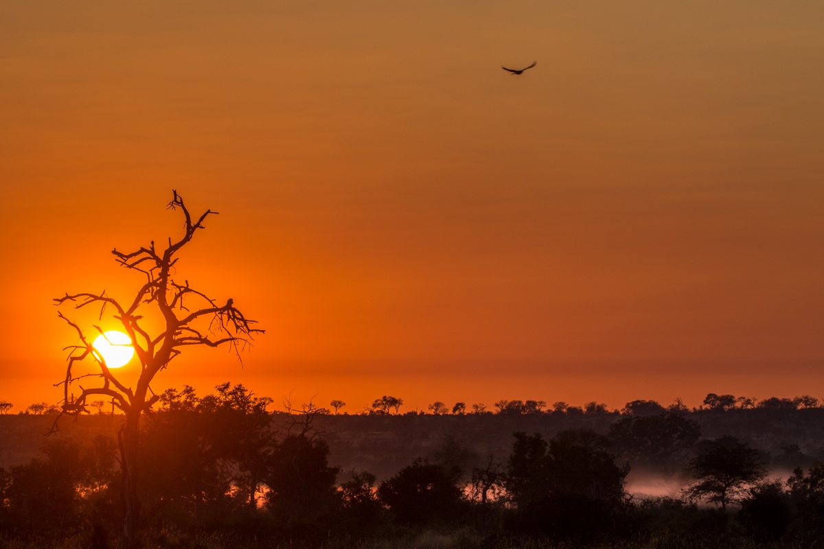 Sabi Sabi March Newsletter Sunset