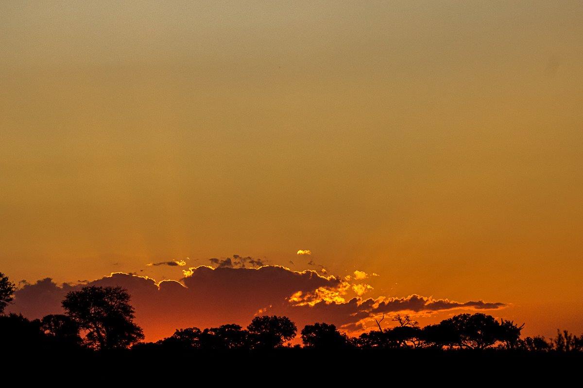 Another perfect sunset at Sabi Sabi. Another perfect sunset at Sabi Sabi.