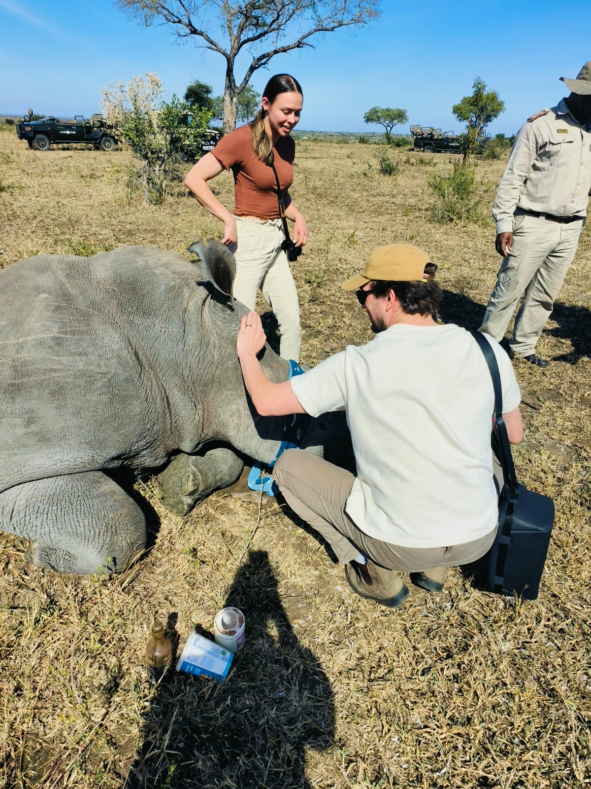 Sabi Sabi May Newsletter Rhino Dehorning