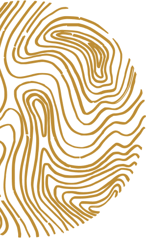 Bgt Wave Gold Circle Bgt Wave Gold Circle