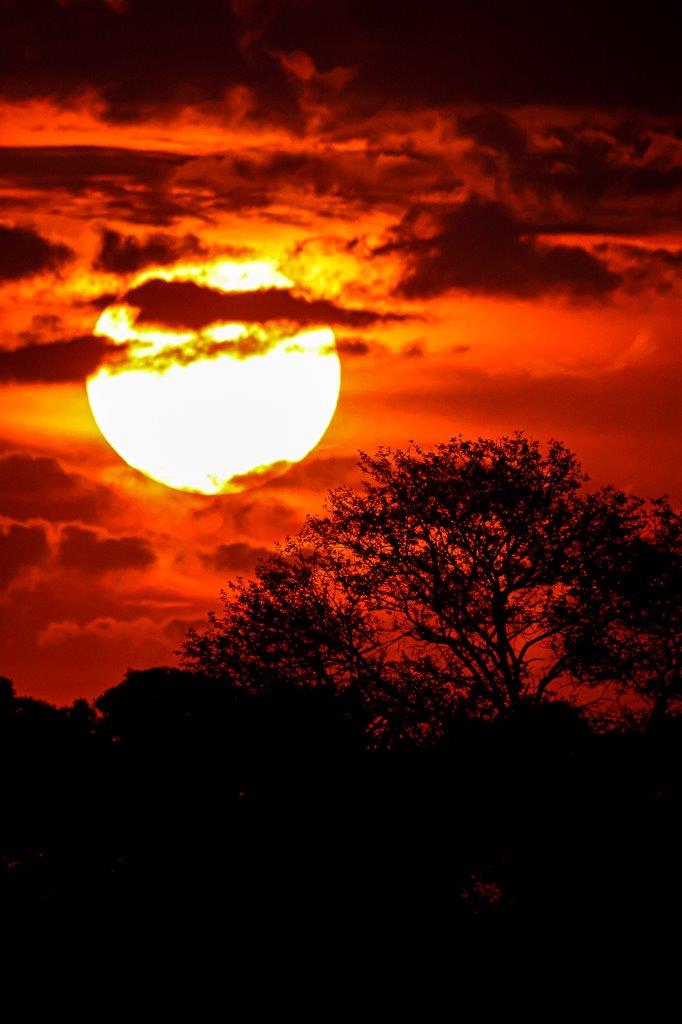 27 Coenraad Stapelberg-Sunset-191222-1.jpg 27 Coenraad Stapelberg Sunset 191222 1