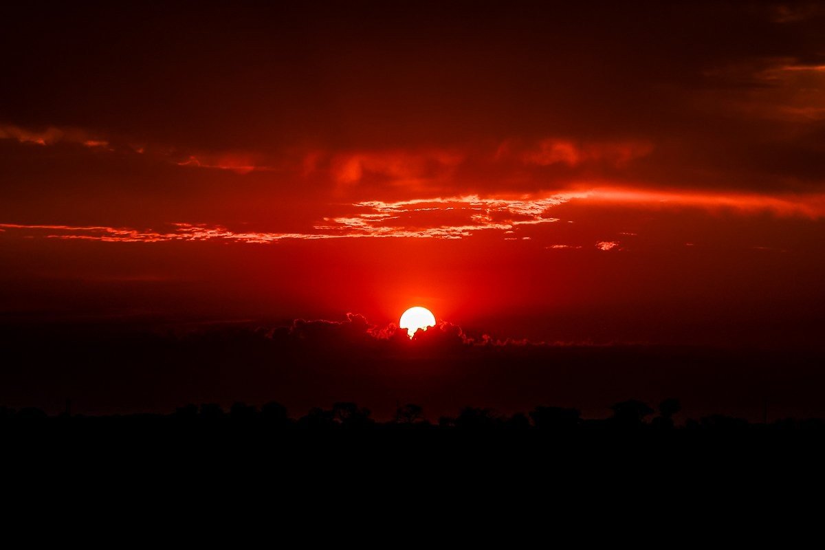 Sabi Sabi Ruan Mey Sunset