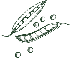 PeaPodsDarkGreen