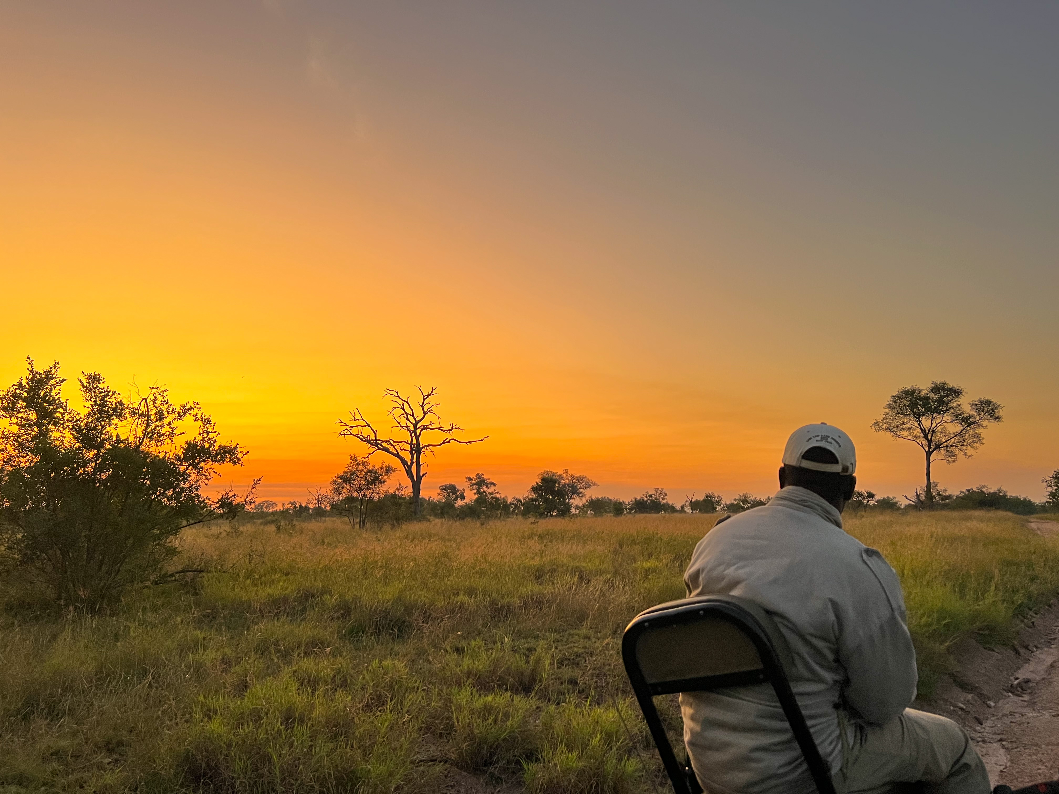 Sabi Sabi  Sunset Reserve