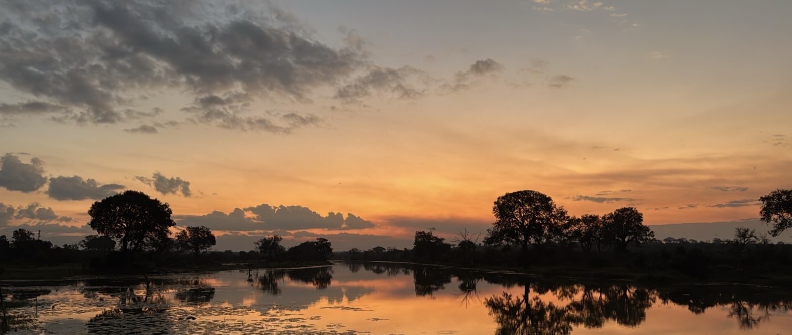 Sabi Sabi Stewardship In Action View