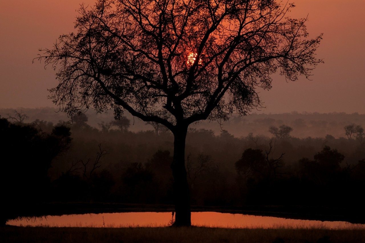 Winter sunset over the African bush