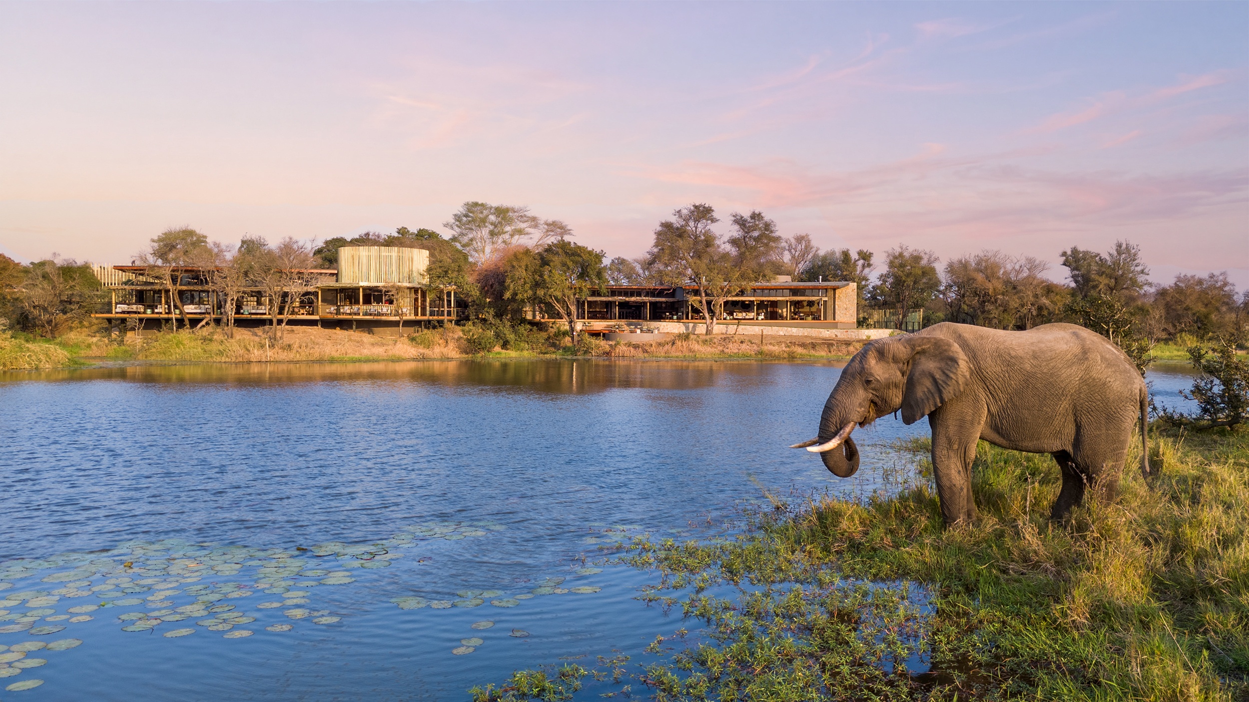 Sabi Sabi Beyond The Destination Sandringham