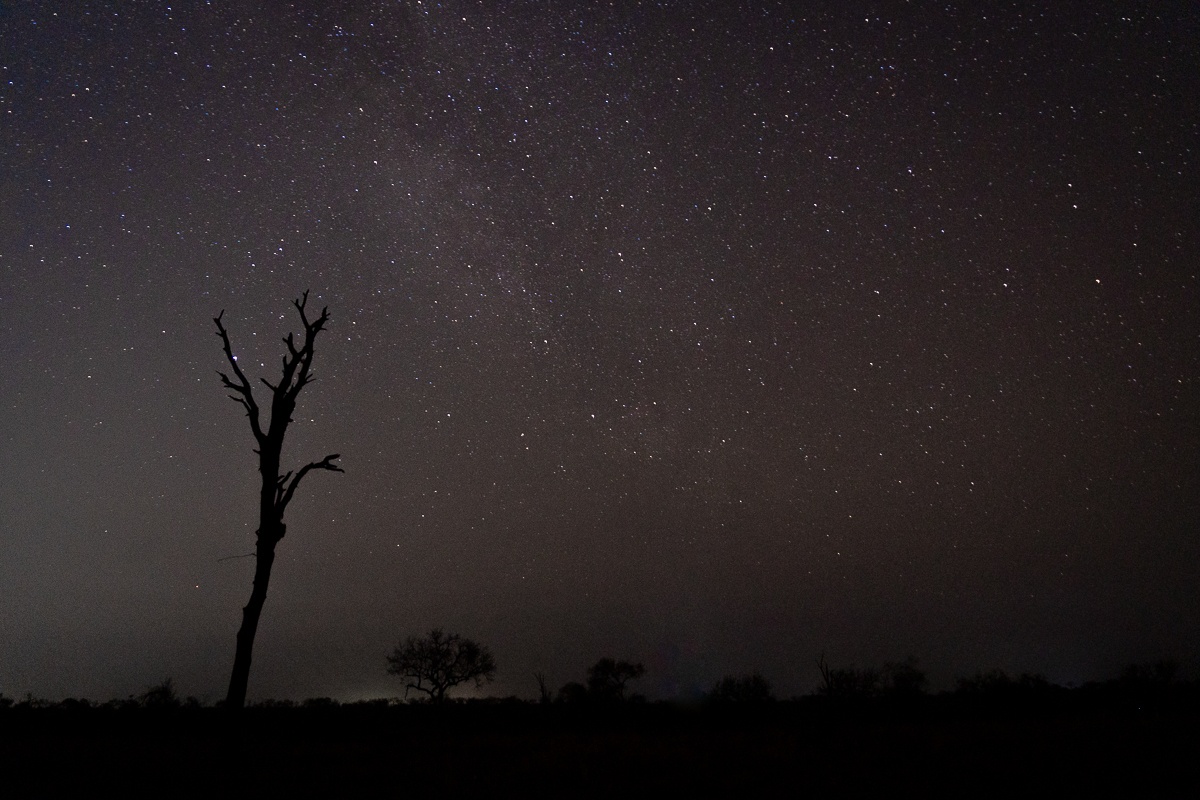 Capturing the Milky Way. Capturing the Milky Way.
