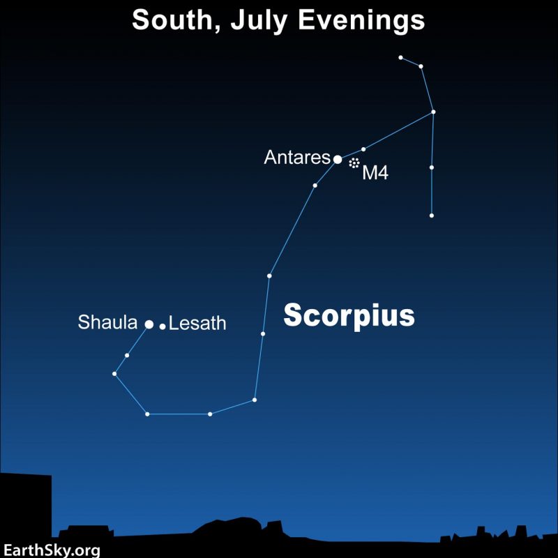 The Scorpius Constellation. The Scorpius Constellation.