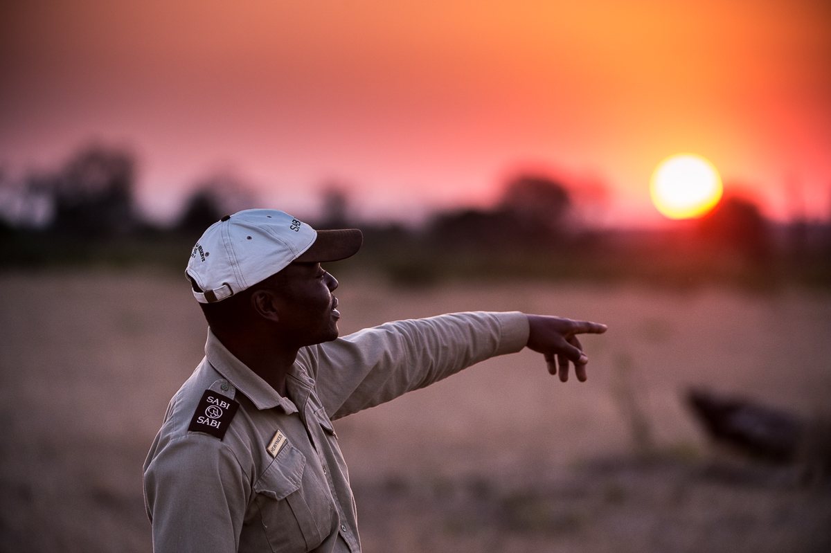 Sabi Sabi Guide At Sunset
