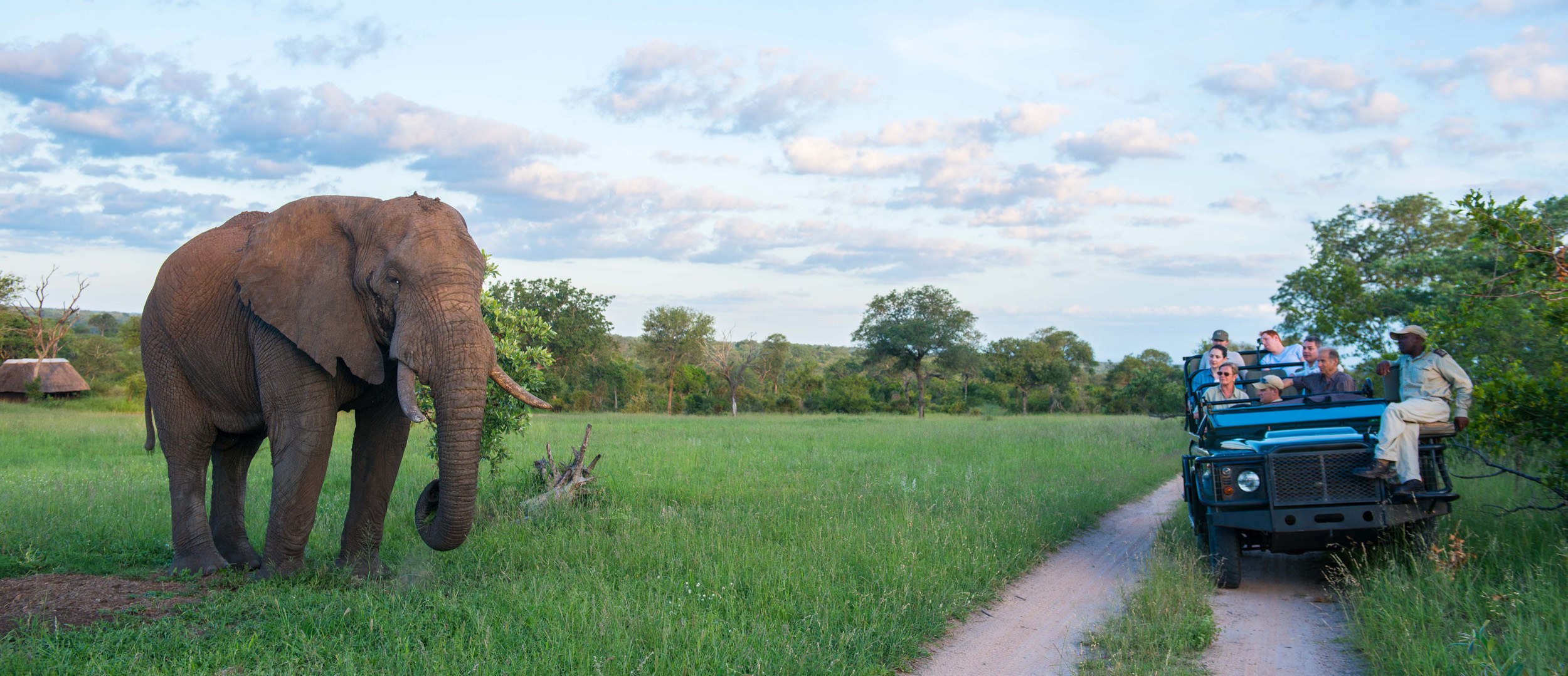A Sabi Sabi safari vehicle stops as close as possible to a full grown elephant
