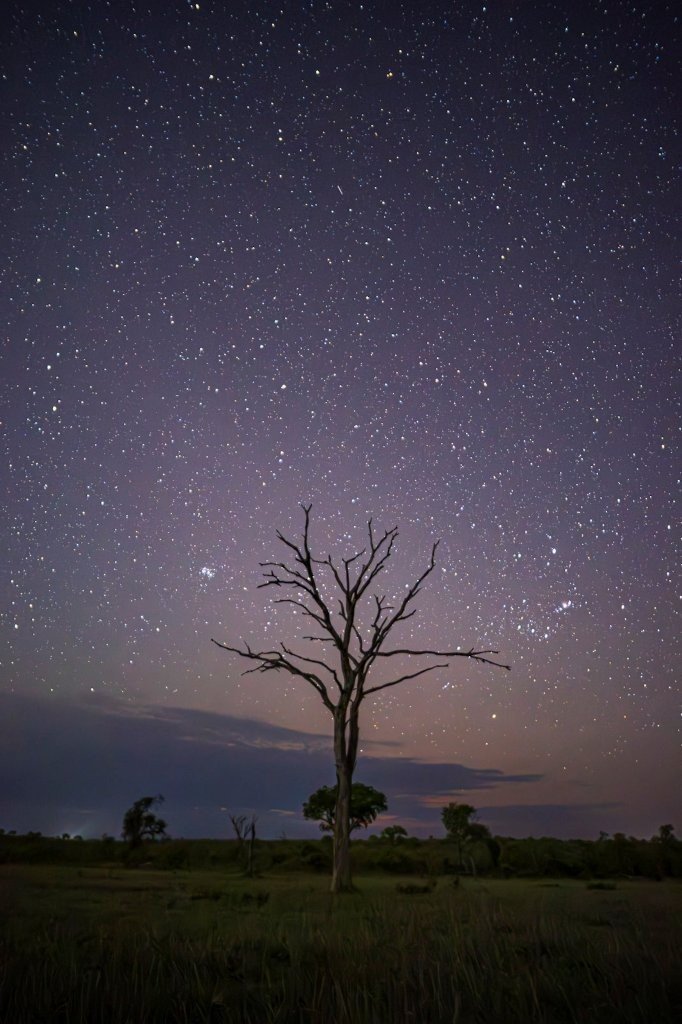 The African night sky. 