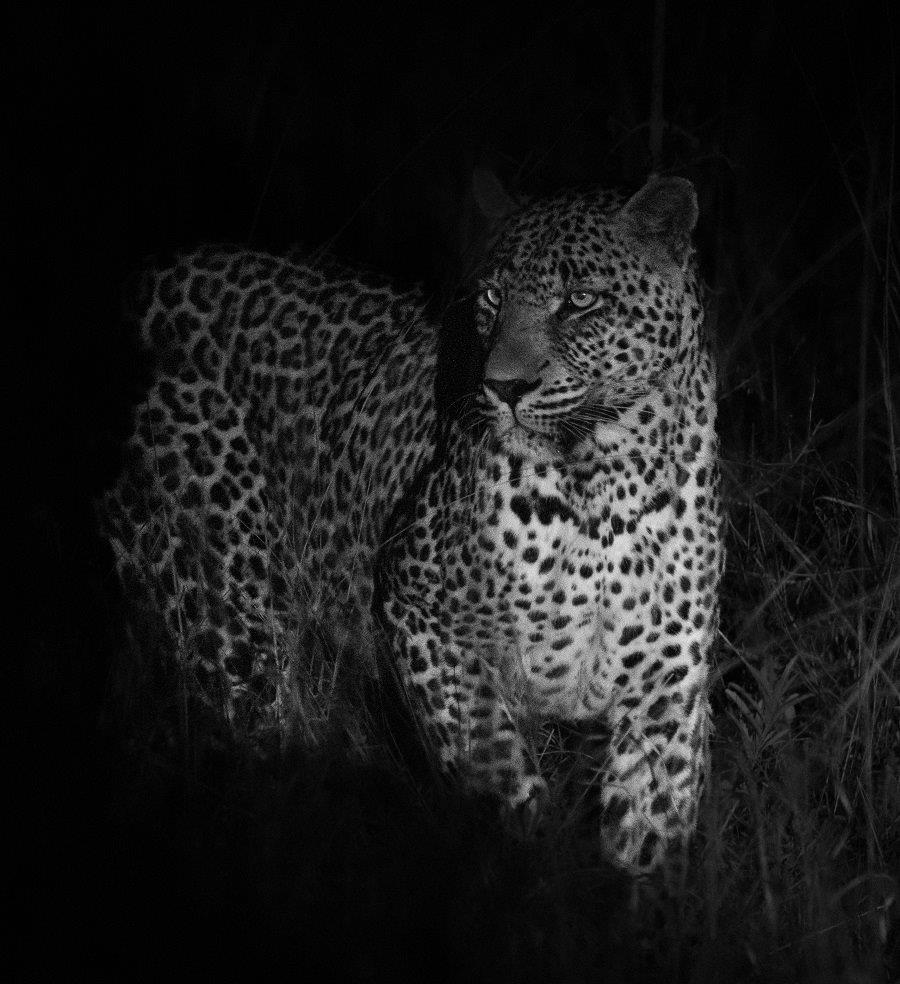 A29Jason Street   Nweti   210523   1