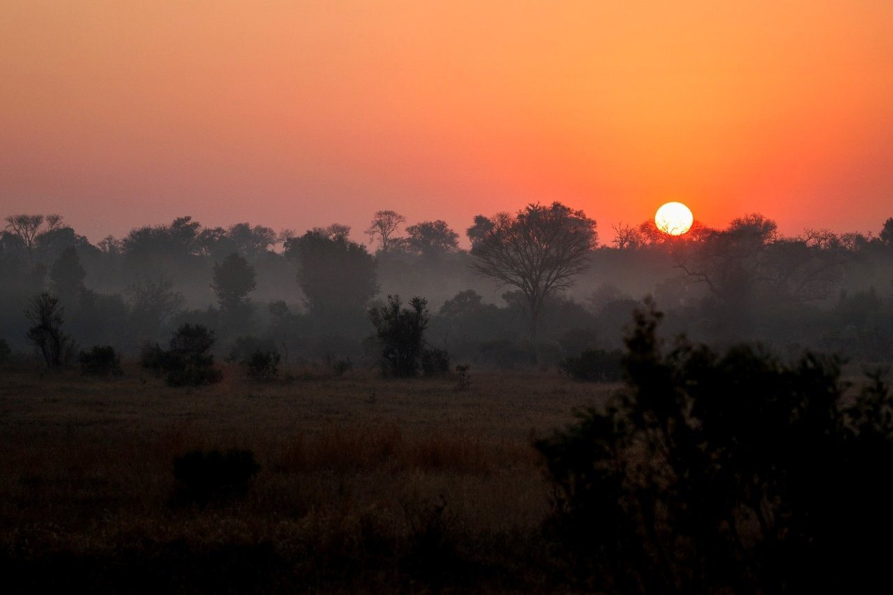 Winter sunset over the African bushveld.