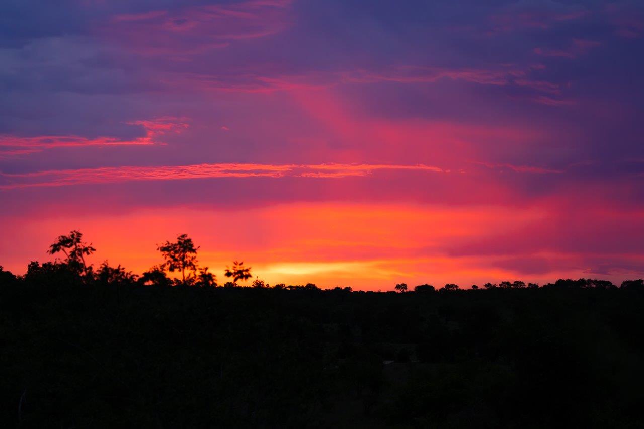 Sabi Sabi Franco Hay Sunset Sabi Sabi Franco Hay Sunset