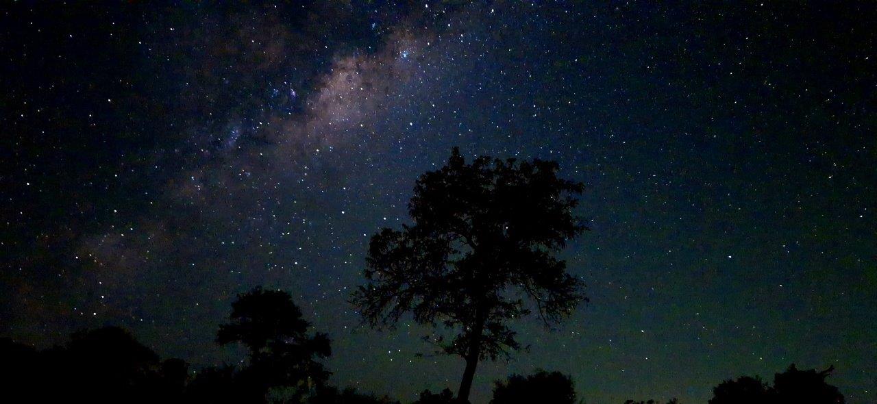 Sabi Sabi Ruan Mey Stars Silent Night Sabi Sabi Ruan Mey Stars Silent Night