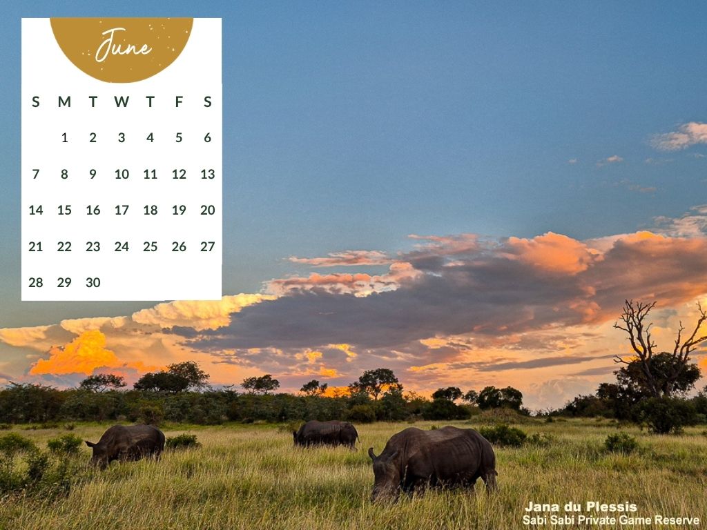 Sabi Sabi   Desktop Calenday   June 2026