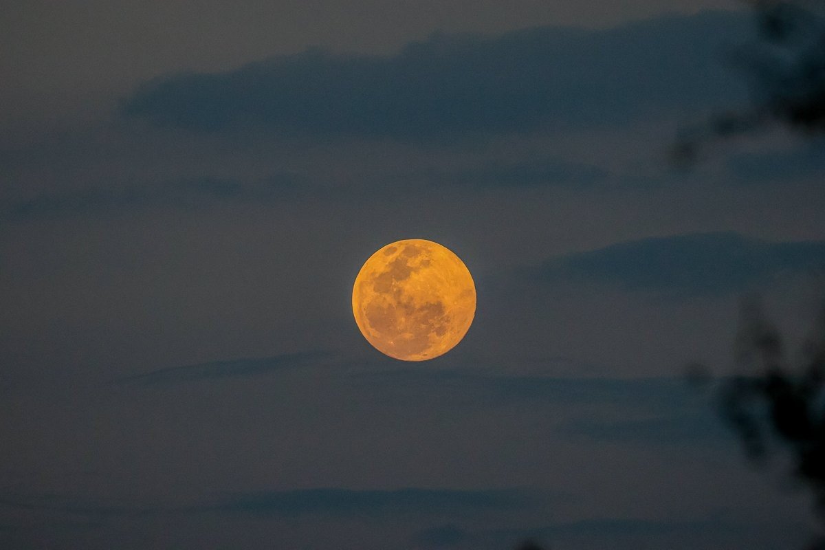 Sabi Sabi Ruan Mey Moon Sabi Sabi Ruan Mey Moon