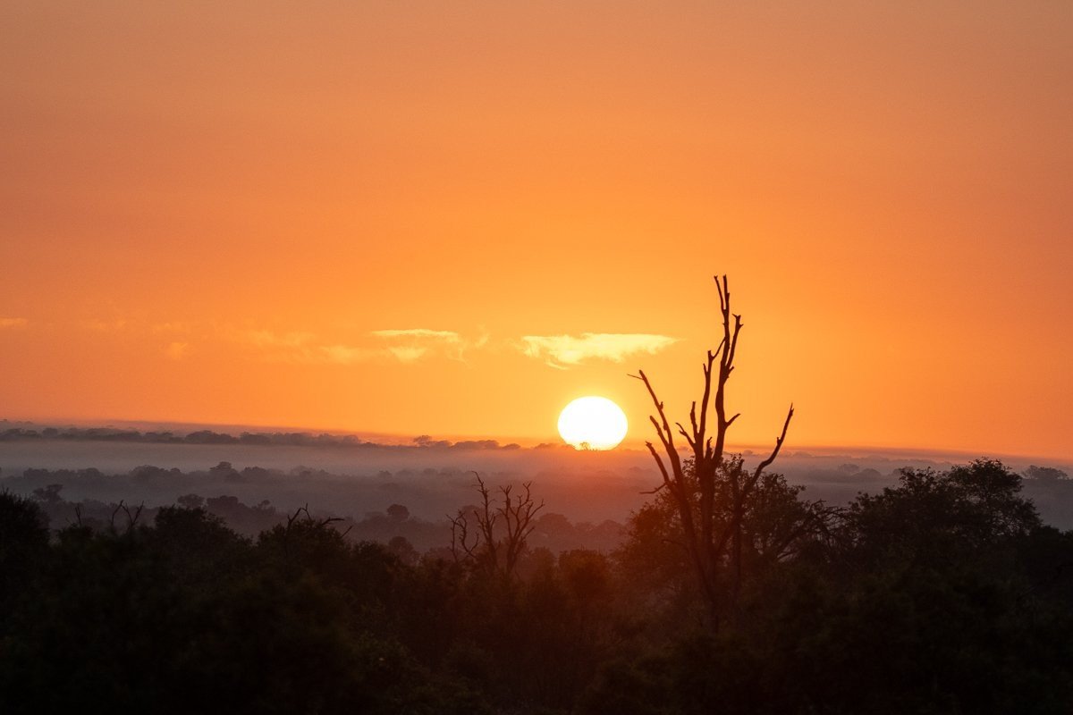 Golden sunrise illuminates the African bushveld at the start of a new safari day.