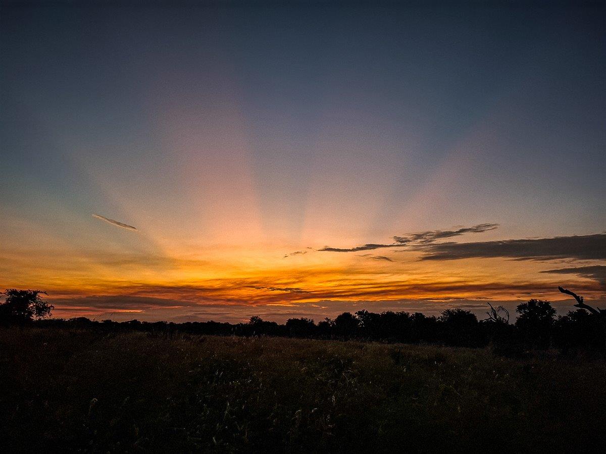 A beautiful sunset experienced from Sabi Sabi. A beautiful sunset experienced from Sabi Sabi.