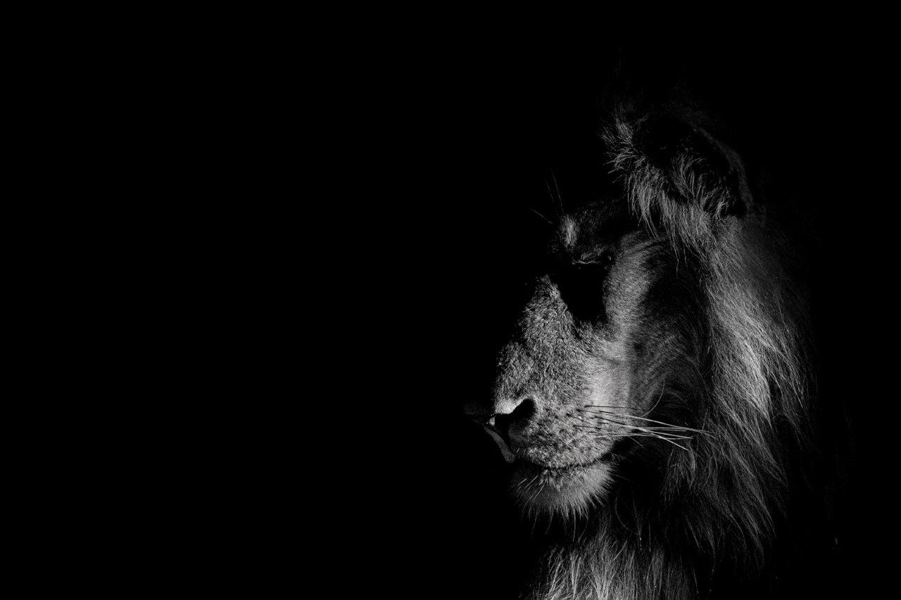 A dramatic shot of the Styx male at night. A dramatic shot of the Styx male at night.