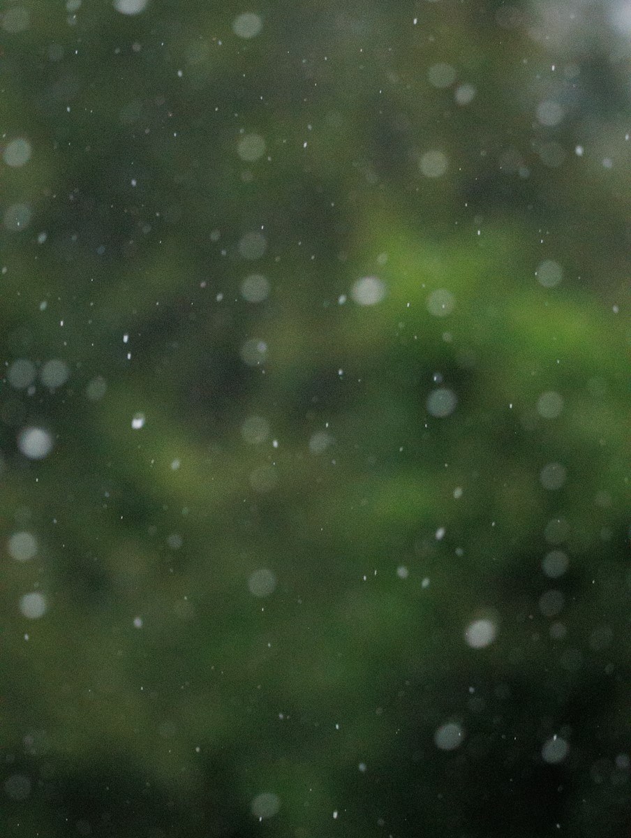 Petrichor is the name of the scent that is produced when rain falls on dry earth. Petrichor is the name of the scent that is produced when rain falls on dry earth.