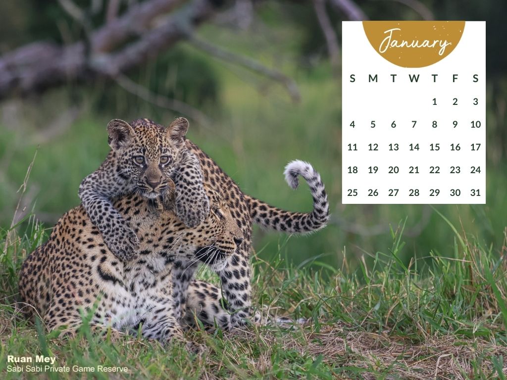 Desktop Calendar   January 2026