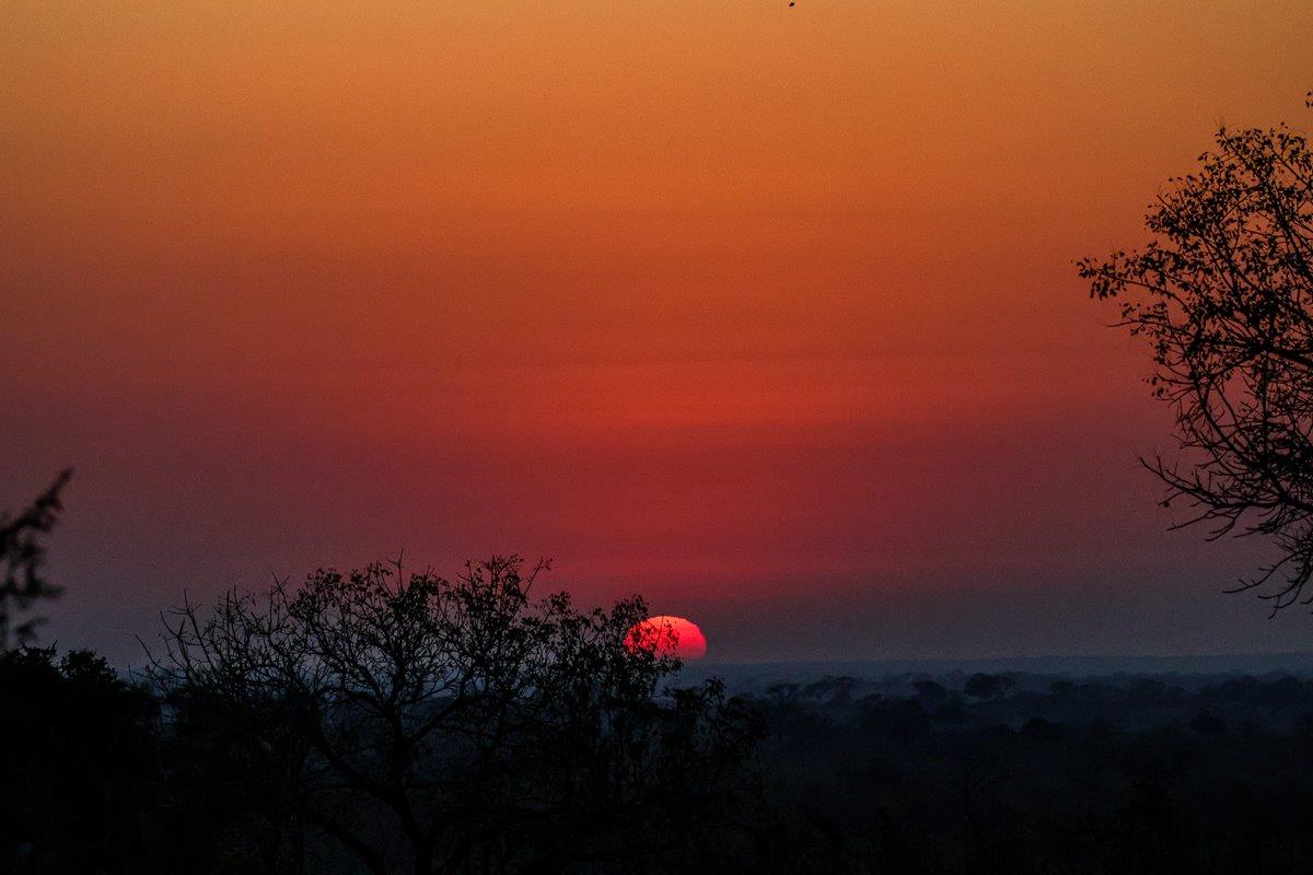 Welcome to our safari highlights blog Welcome to our safari highlights blog