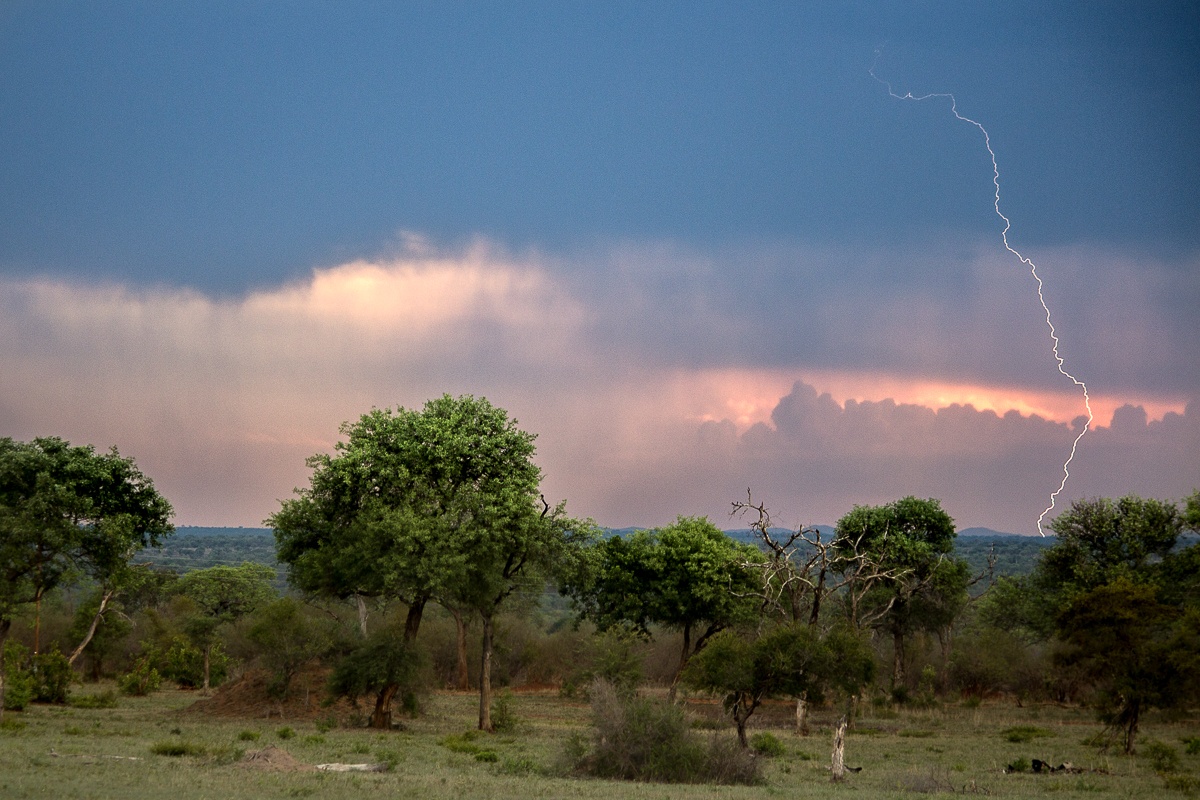 Our summer months bring passing afternoon thunderstorms that cool down the day and bring drama to the skies above Sabi Sands