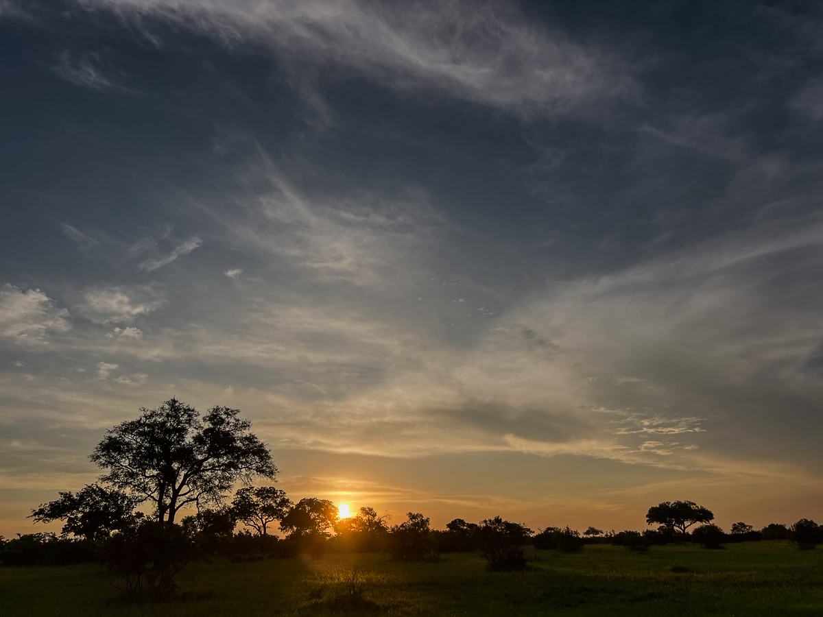 Jason Street Sunrise Sabi Sabi Jason Street Sunrise Sabi Sabi