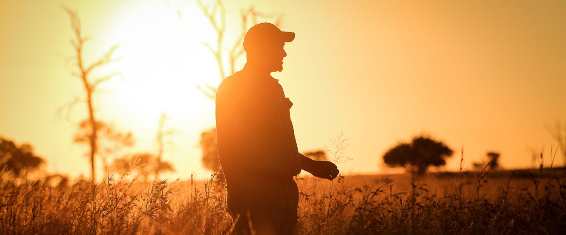 Sabi Sabi Private Game Reserve Ranger Academy Banner