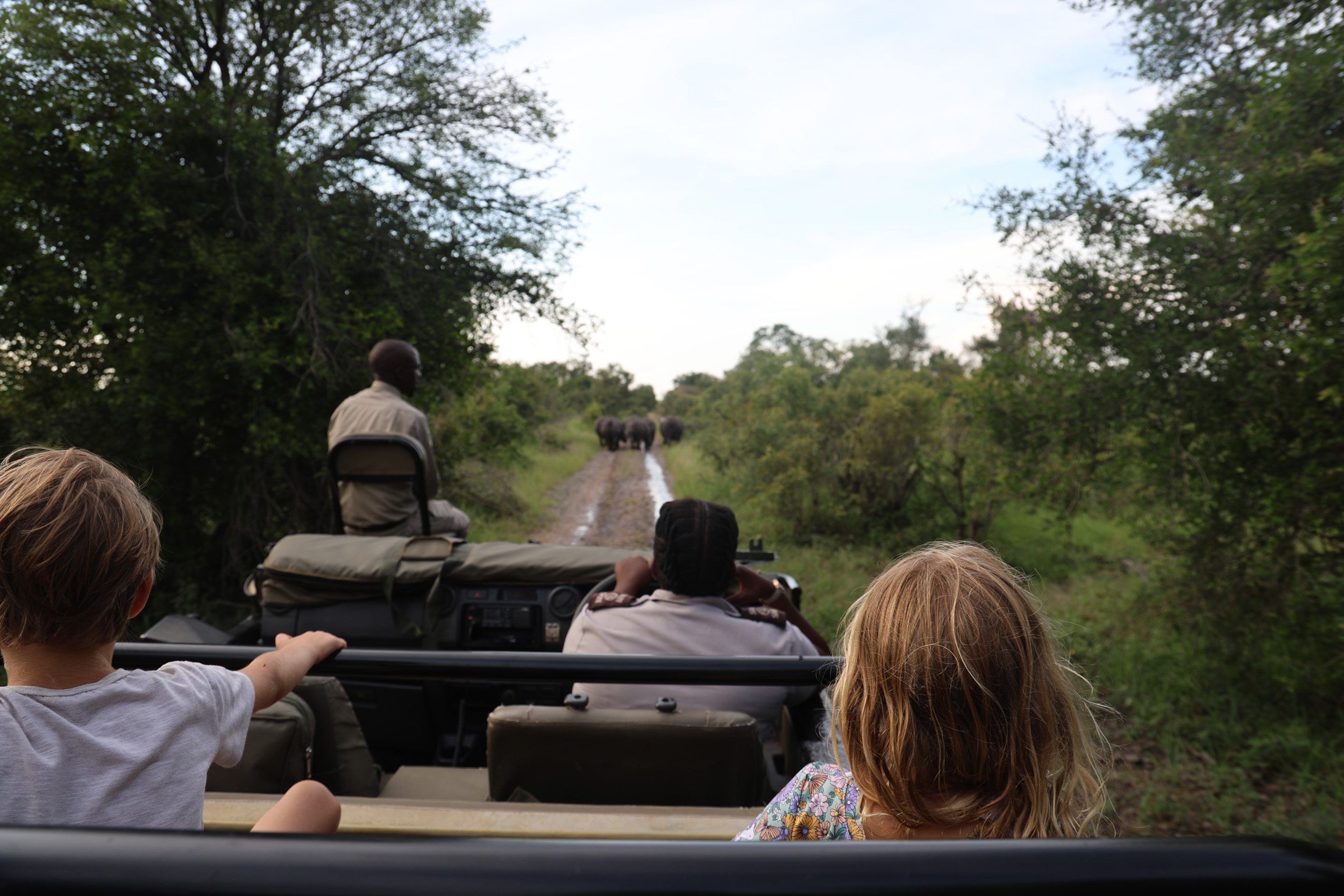 Sabi Sabi Generations In The Wild Game Drive