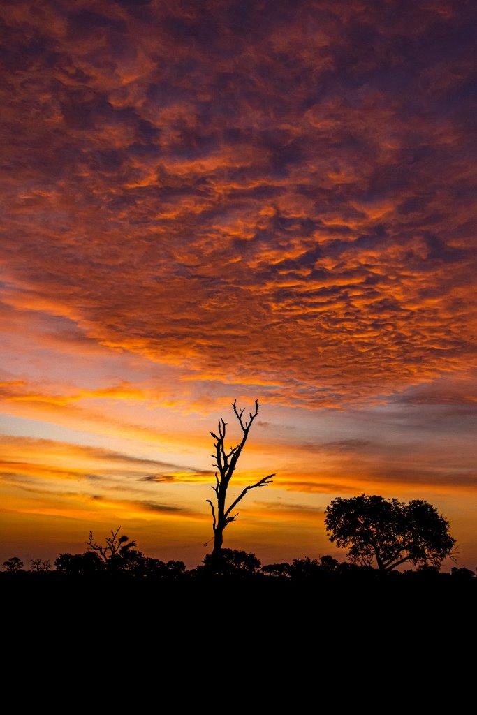 Guests have been treated to amazing African sunsets at Sabi Sabi. 