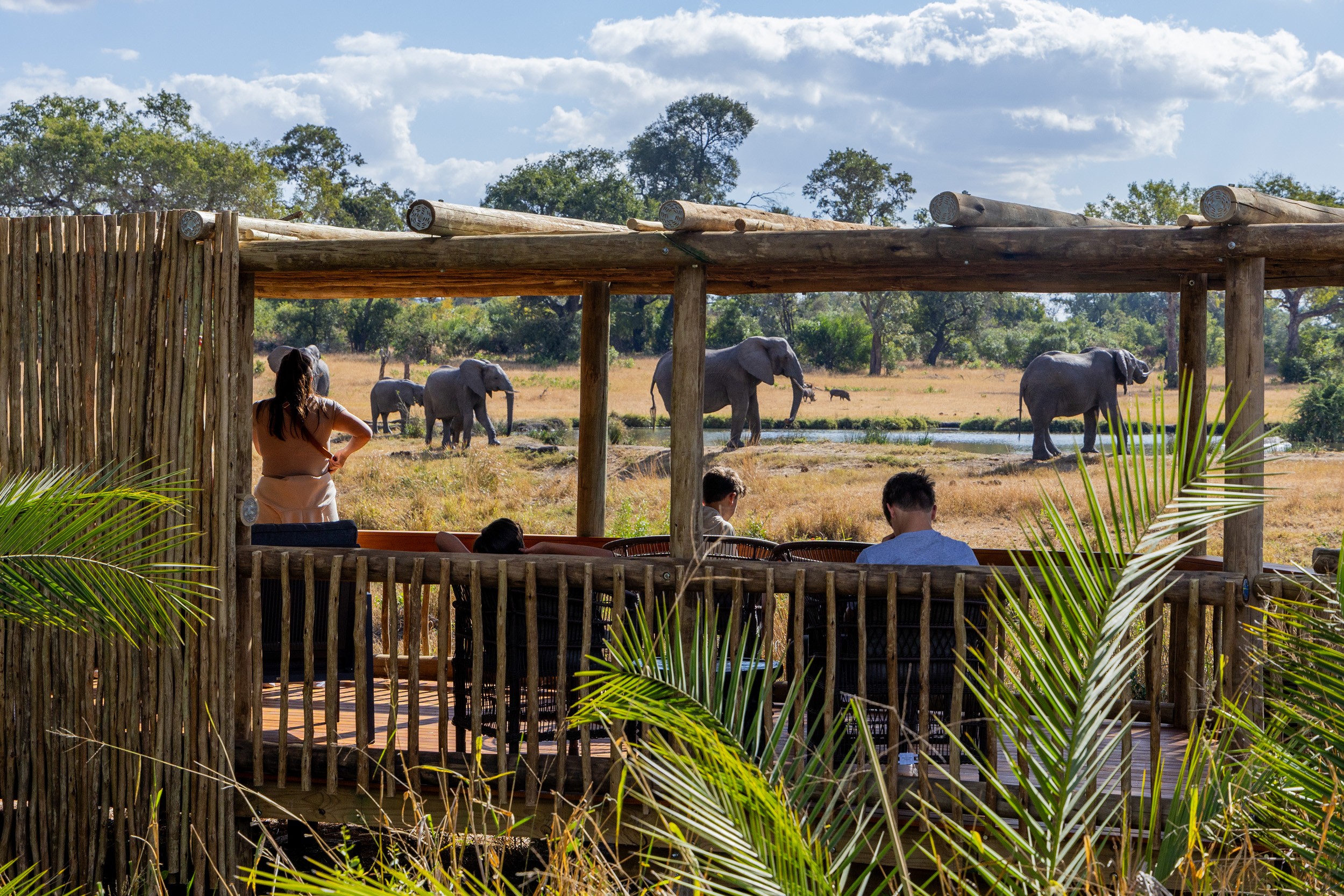 Sabi Sabi Bush Lodge Viewing Deck Sabi Sabi Bush Lodge Viewing Deck