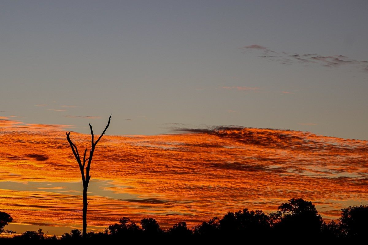 Sabi Sabi Ruan Mey Bush Sunset