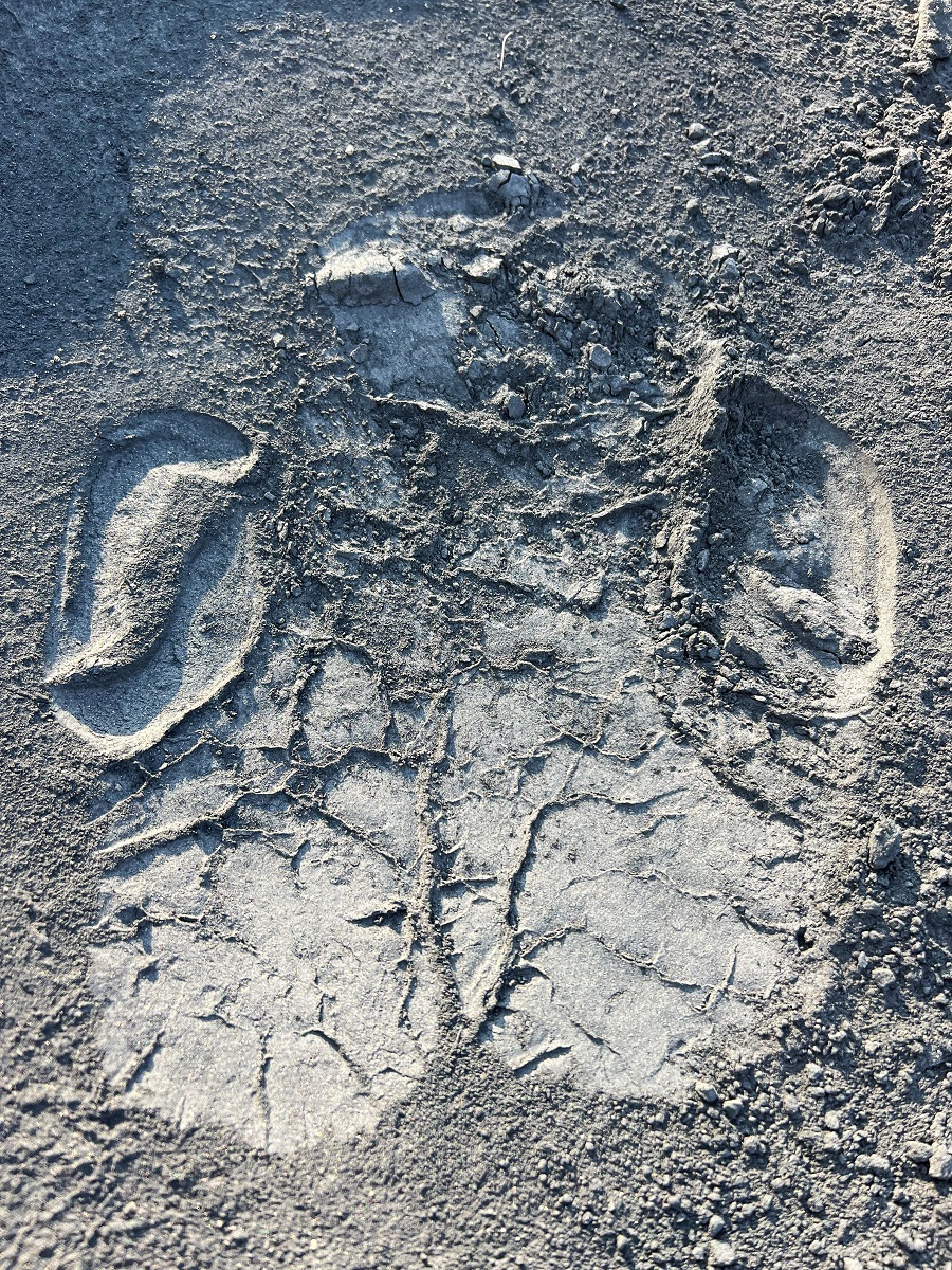 The sheer beauty and size of this Rhino track found near Sabi Sabi is incredible The sheer beauty and size of this Rhino track found near Sabi Sabi is incredible