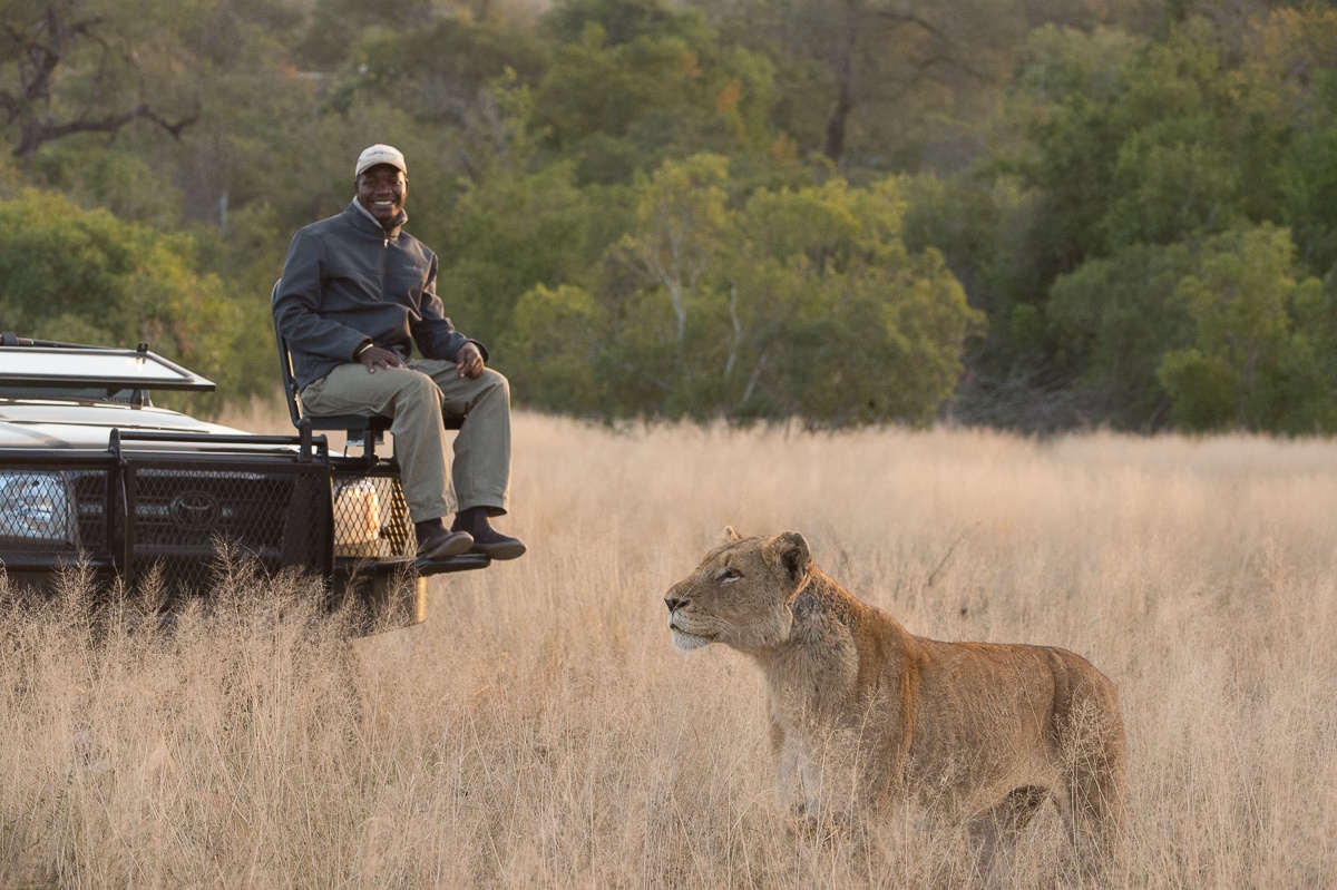 Lion sighting during game drive from Sabi Sabi. Lion sighting during game drive from Sabi Sabi.