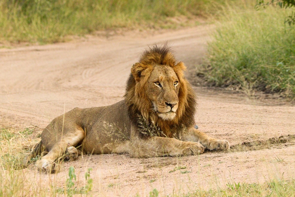 Roads retain the warmth of the previous day’s sun