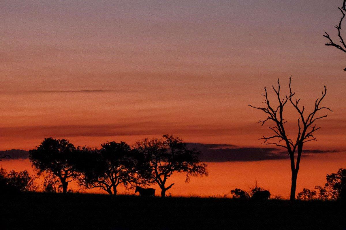 A stunning African sunset enjoyed from Sabi Sabi. 