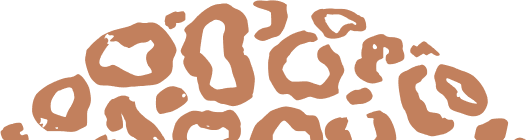 Bgt C Bgt C