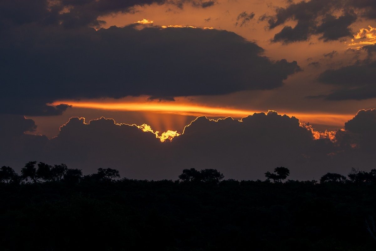 A silver lining to the end of the day with a dramatic sunset in the bush
