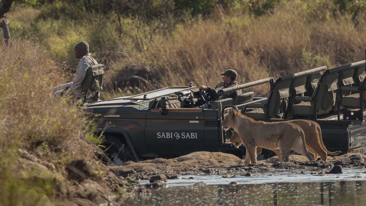 Sabi Sabi Collection What We Carry Forward Sandringham Game Drive