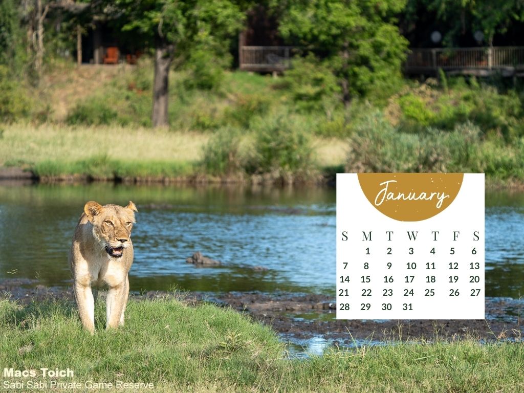 Jan   Large Calendar 2024