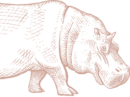 Bgt Hippo