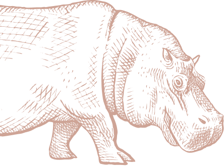Bgt Hippo Bgt Hippo