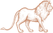 Cultural Intro Lion