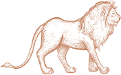 Cultural Intro Lion Cultural Intro Lion