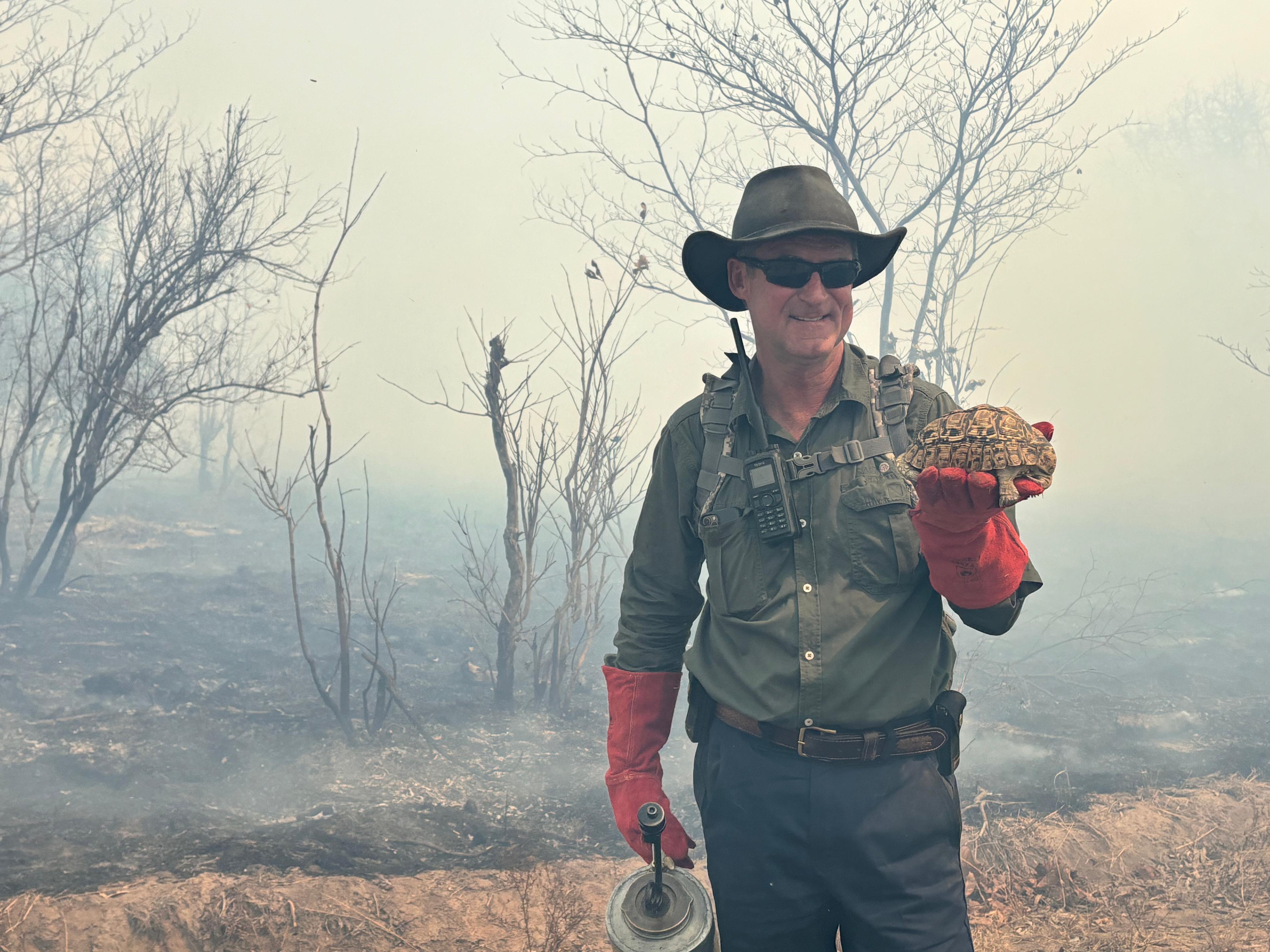 A leopard tortoise is rescued from the burn area. A leopard tortoise is rescued from the burn area.