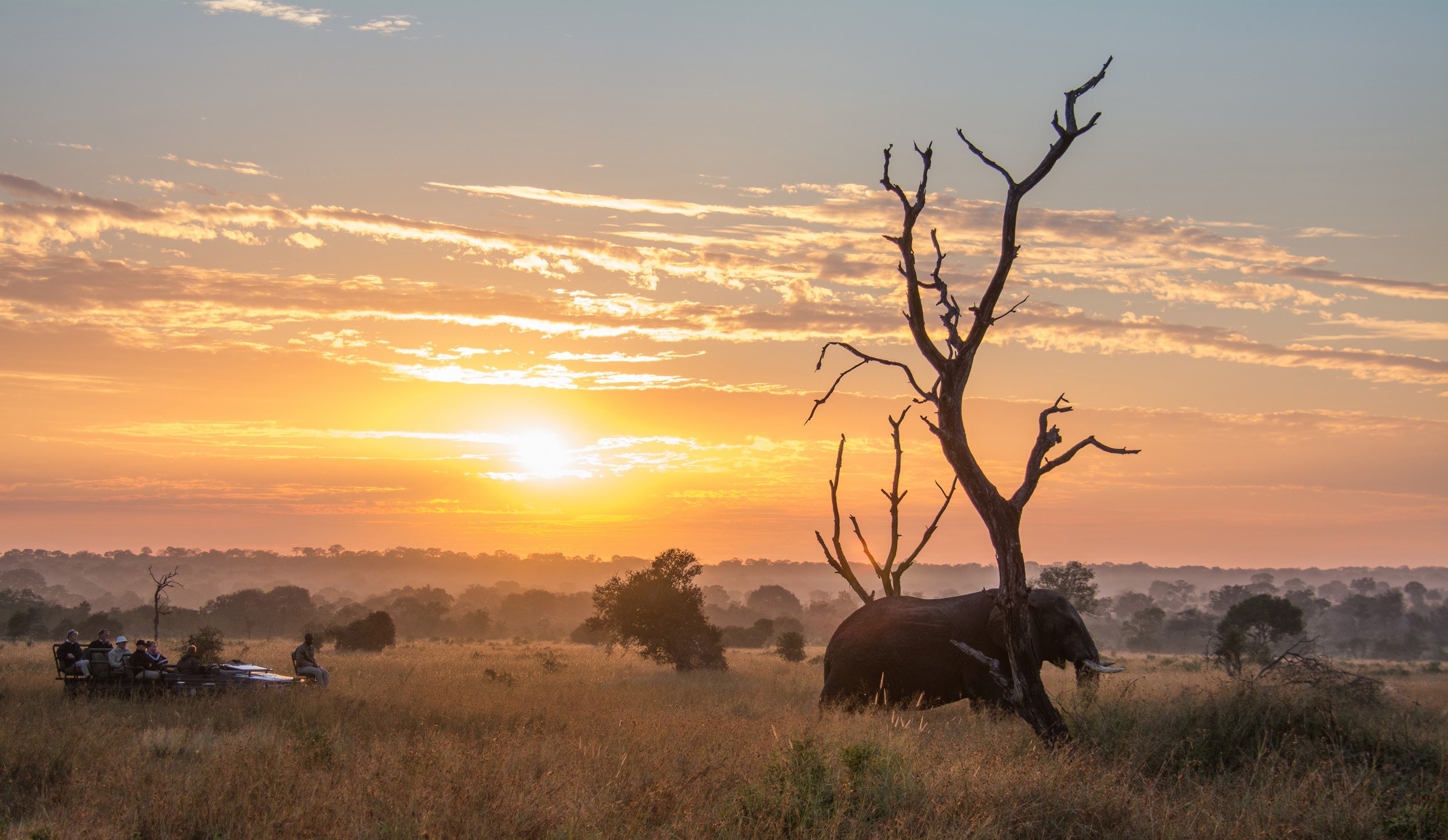 A safari vehicle spots and follows and elephant with an orange sky